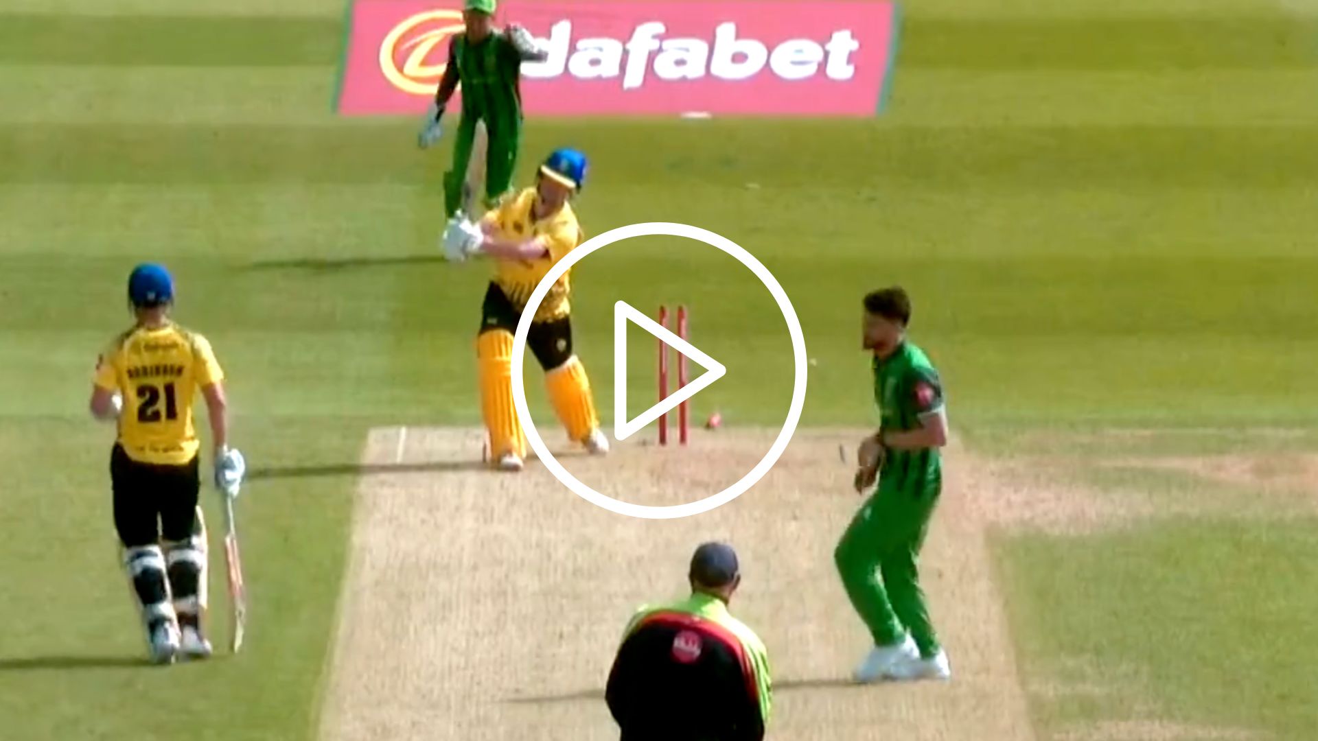 [Watch] Naveen-Ul-Haq Cleans Up ​Liam Trevaskis' Leg-Stump With A Jaffa